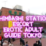 ShimbashiStationEscort