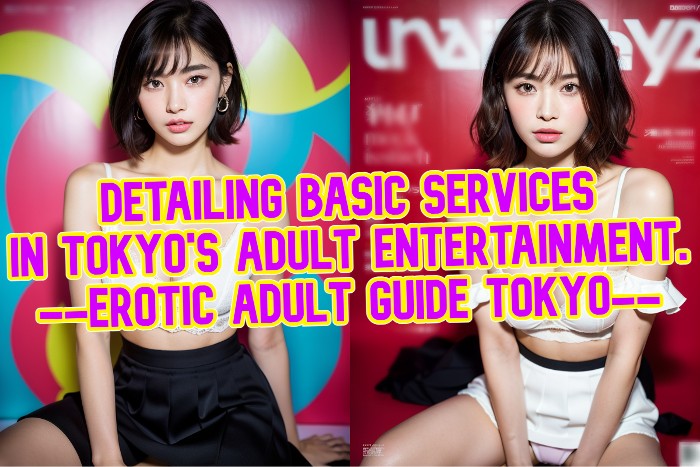 tokyo escort basic service guide